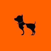 Paid Legal Internship Opportunity at Heads Up For Tails: Apply Now!